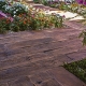 Deck Cimentício
