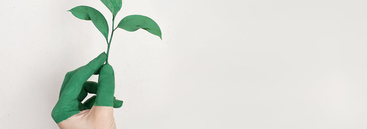 sustentabilidade em casa