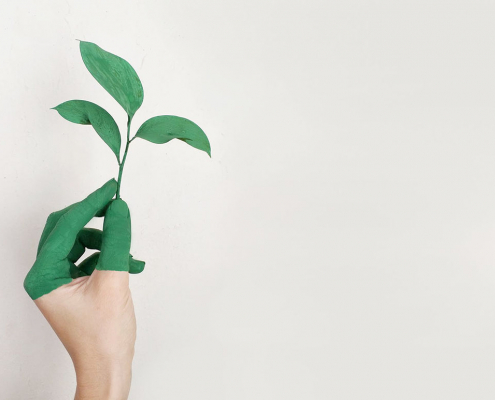 sustentabilidade em casa