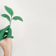 sustentabilidade em casa