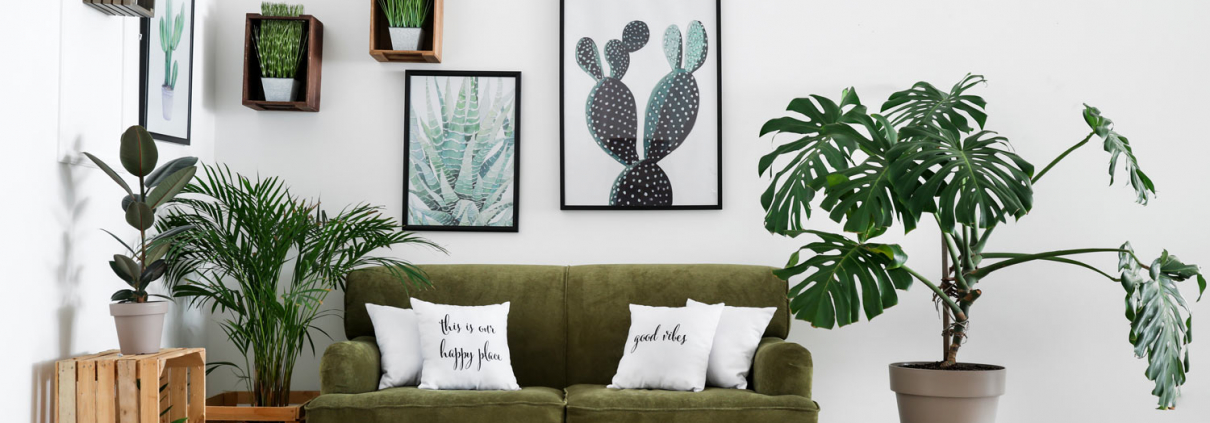 tendências de decoração